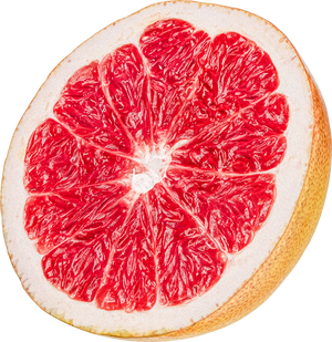 grapefruit illustration