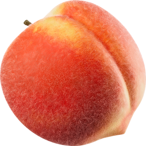 peach illustration